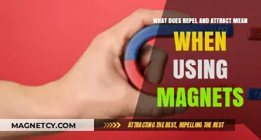 Understanding Magnetic Forces: What Attracts and Repels Magnets Explained