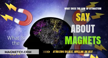 Magnetic Manifestation: Law of Attraction Meets Science in Magnetism