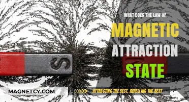 Understanding the Law of Magnetic Attraction: Principles and Applications