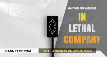 Unveiling the Magnet's Deadly Role in Lethal Company