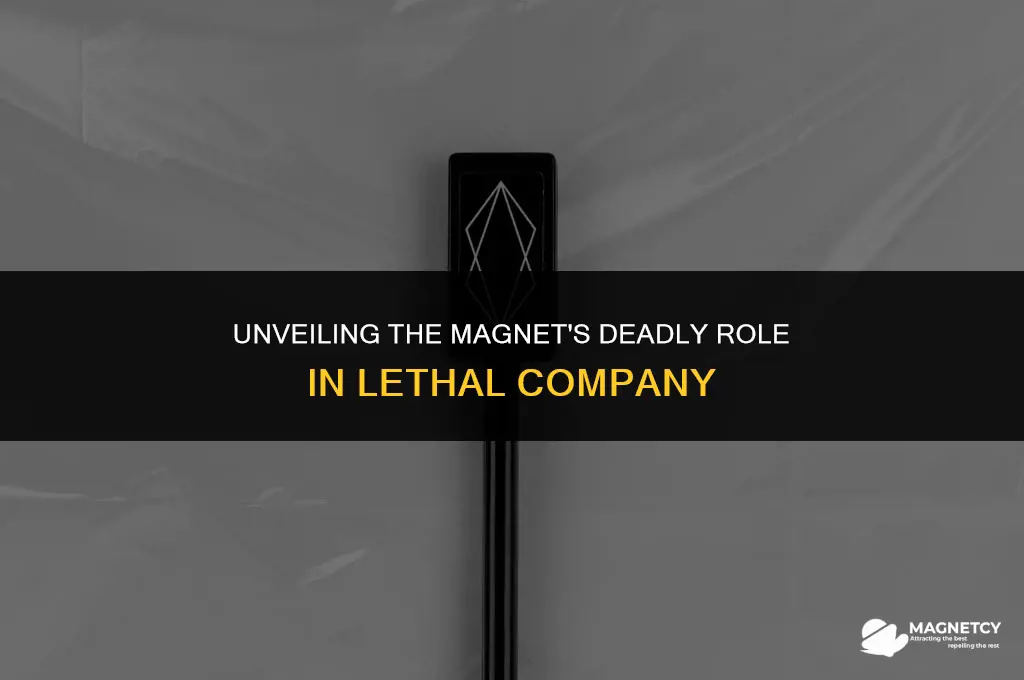 what does the magnet do in lethal company