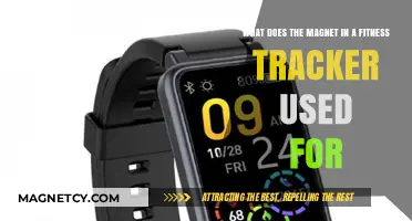How Magnets in Fitness Trackers Enhance Activity and Heart Rate Monitoring