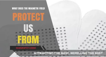 Shielded by the Invisible: Earth's Magnetic Field Defense