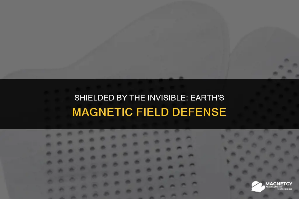 what does the magnetic field protect us from