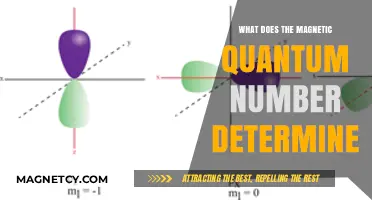 Unveiling the Mysteries of Electron Spin: The Magnetic Quantum Number