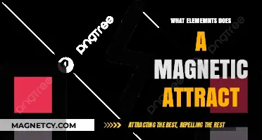 Magnetic Attraction: Exploring Elements and Materials Drawn to Magnets