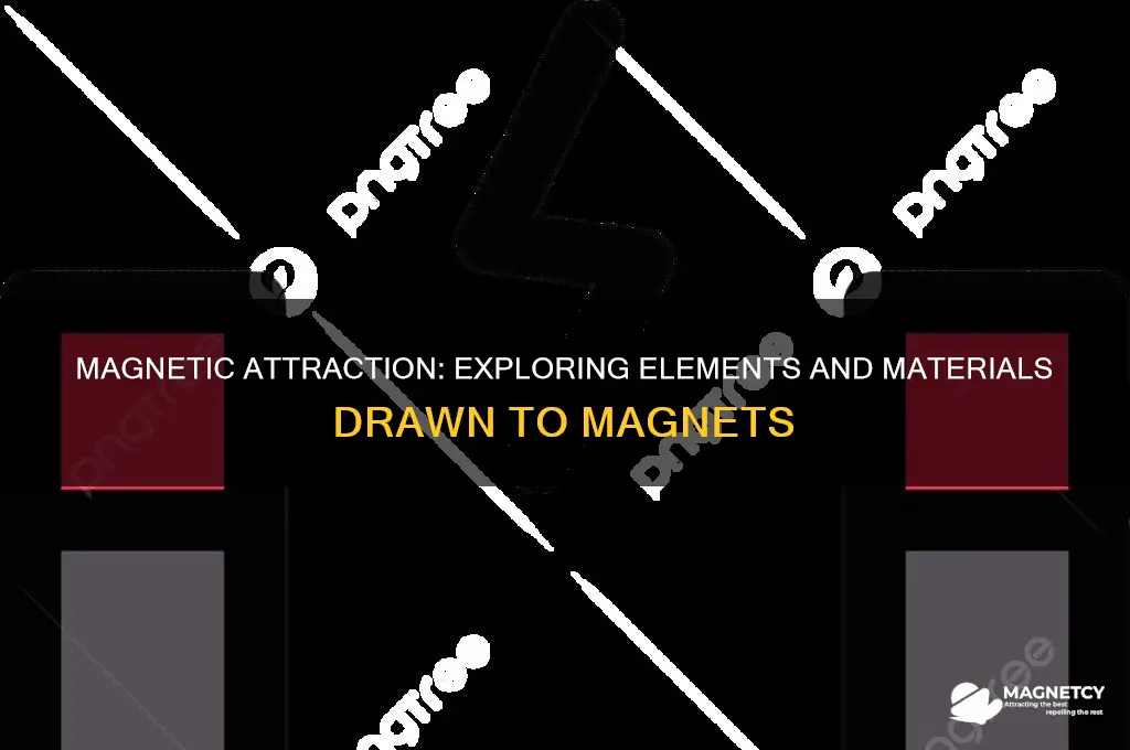 what elememnts does a magnetic attract