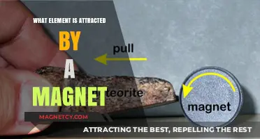 Magnetic Attraction: Which Element is Drawn to a Magnet?