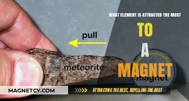 Magnetic Attraction: Which Element is Most Drawn to Magnets?