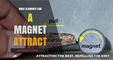 Magnetic Attraction: Exploring Elements and Materials Magnets Can Pull