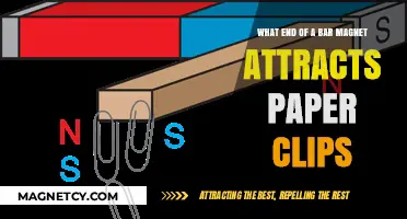 Which Pole of a Bar Magnet Attracts Paper Clips?