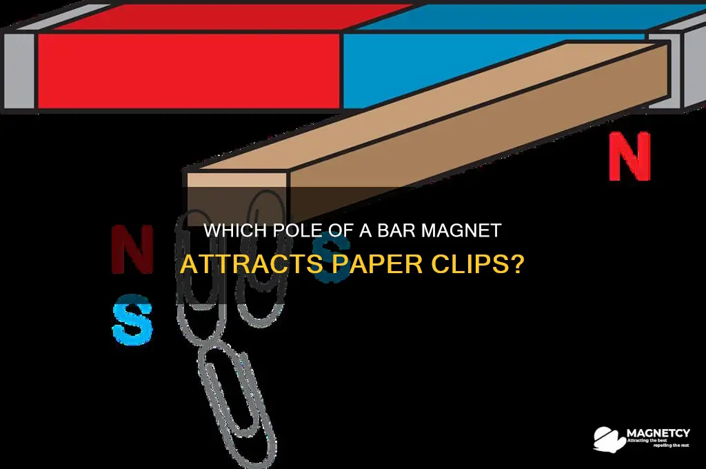 what end of a bar magnet attracts paper clips
