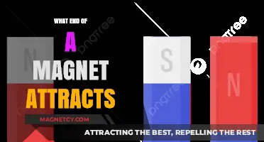 Magnetic Attraction: Understanding Which End of a Magnet Pulls