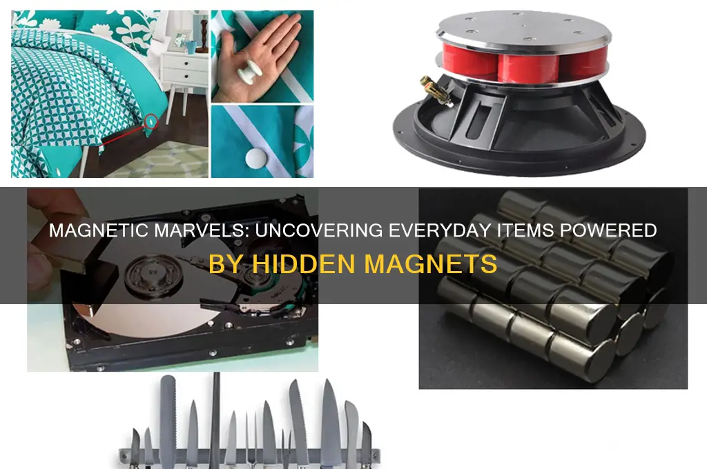 what everyday items use magnets