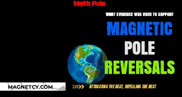 Unraveling Earth's Magnetic Mystery: Evidence Behind Pole Reversals