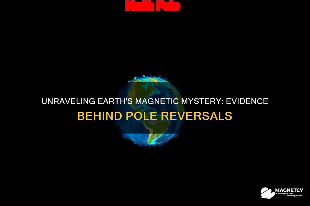 what evidence was used to support magnetic pole reversals
