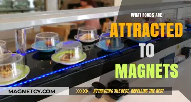 Magnetic Meals: Unveiling Foods That Interact with Magnets