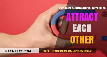 Understanding the Magnetic Force Behind Permanent Magnet Attraction