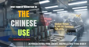 Exploring China's Unique Application of Magnetic Principles and Technologies