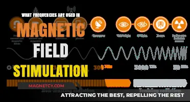 Exploring Frequencies in Magnetic Field Stimulation: Key Ranges and Applications