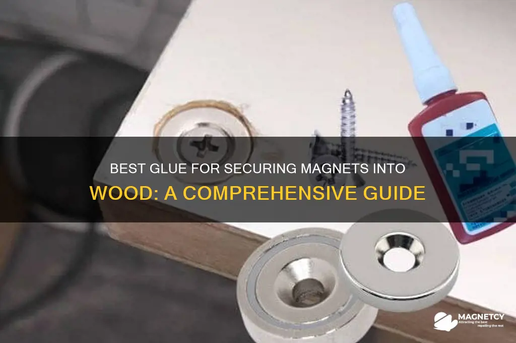 what glue should i use to glue magnets into wood