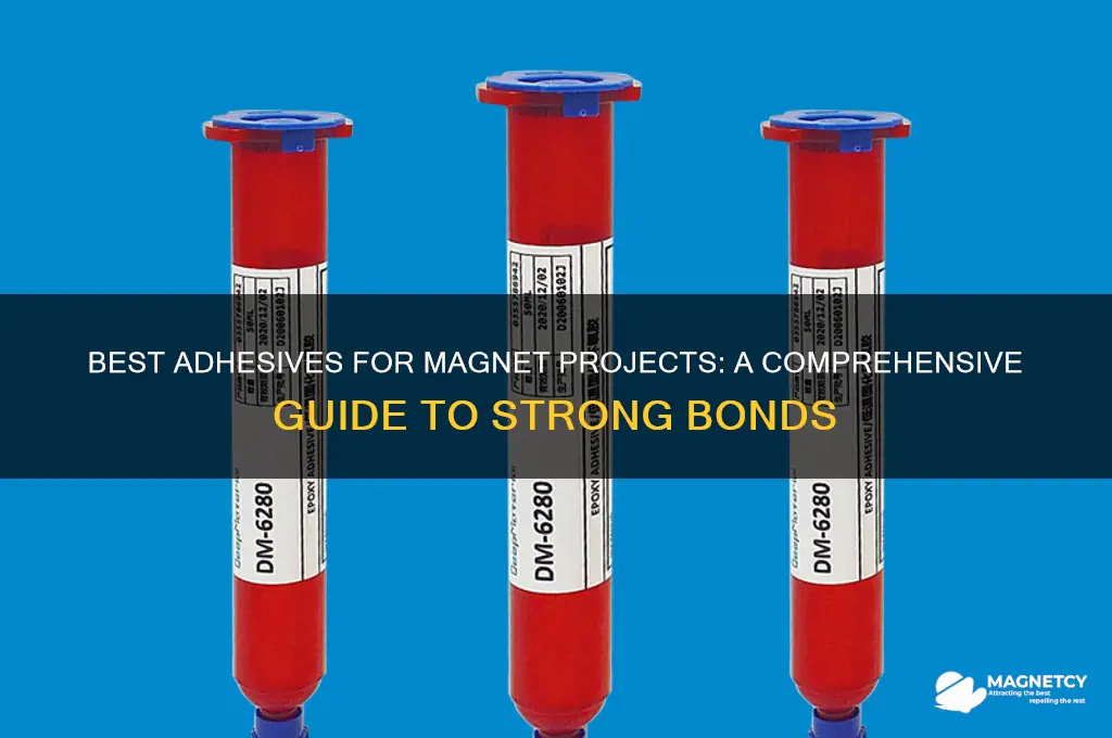 what glue to use for magnets