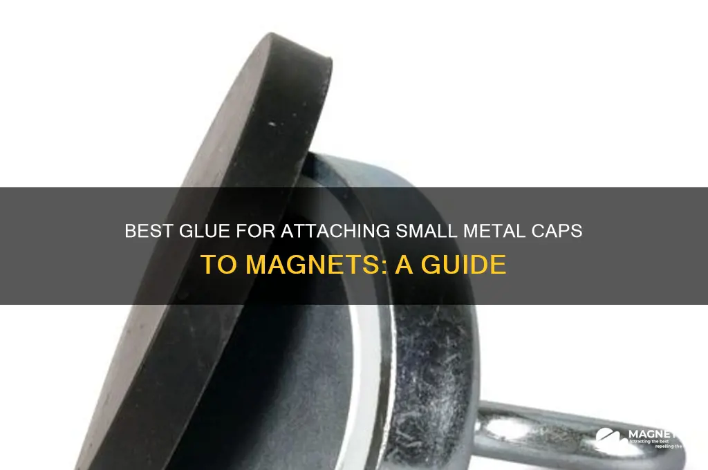 what glue to use gluing small metal caps to magnets