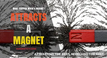 Magnetic Attraction: Unveiling the Science Behind Magnet-to-Magnet Pull