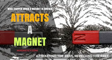 Breaking Magnets: Does Each Piece Still Attract Other Magnets?