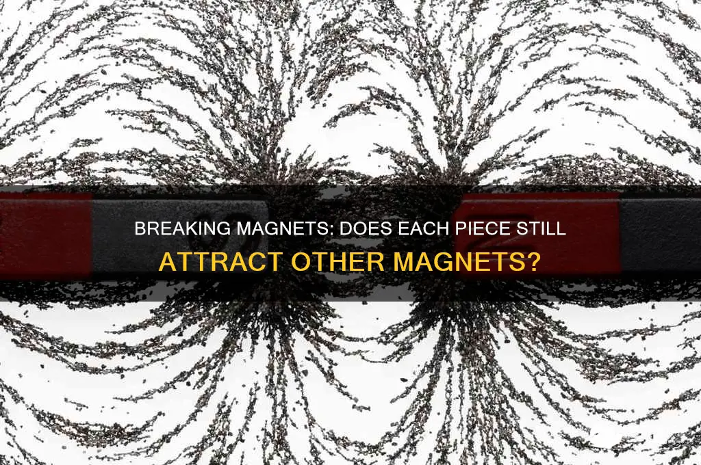 what happen when a magnet is broken attracts a magnet