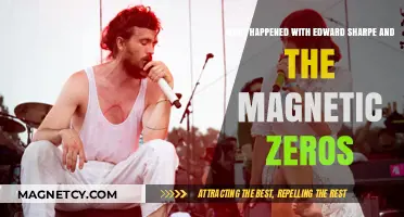 The Rise and Fall of Edward Sharpe and the Magnetic Zeros