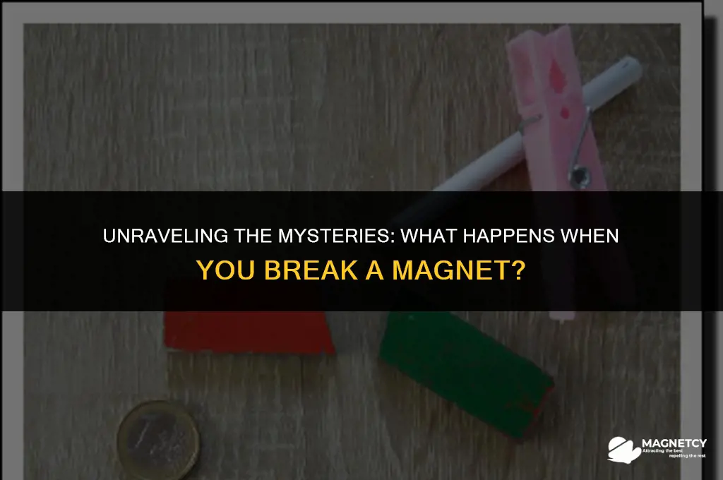 what happens if you break a magnet in half