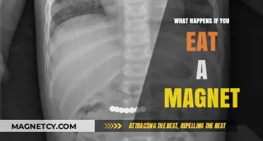The Surprising Truth About Ingesting Magnets: A Scientific Exploration