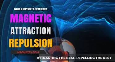 Magnetic Field Lines: Attraction, Repulsion, and Their Dynamic Interactions