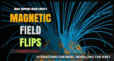 Reversal of Fortune: Earth's Magnetic Field Flip Unveiled