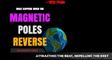 Shifting Poles: The Surprising Effects of Magnetic Reversal