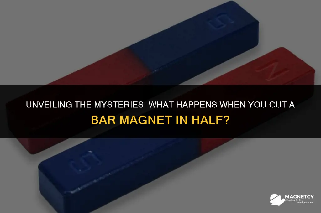 what happens when you cut a bar magnet in half