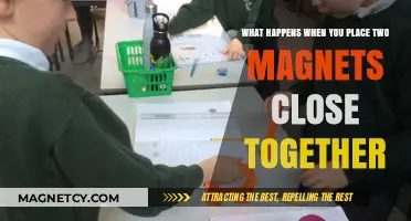 Exploring Magnetic Forces: The Intriguing Dance of Two Magnets