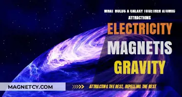 Gravity, Magnetism, and Atomic Forces: Uniting Galaxies Across the Cosmos