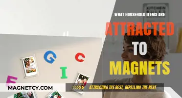 Magnetic Surprises: Discovering Which Common Household Items Stick to Magnets