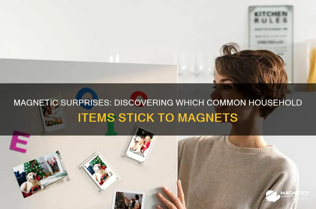 what household items are attracted to magnets