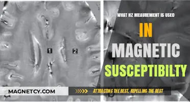 Understanding Hz Measurement in Magnetic Susceptibility Studies and Applications