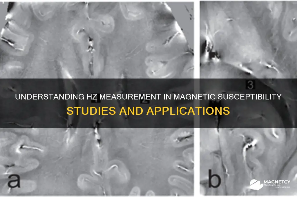 what hz meaurement is used in magnetic susceptibilty