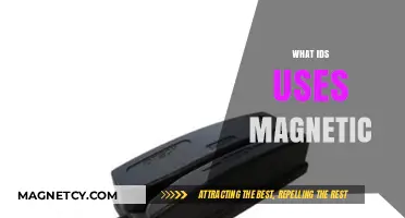 Magnetic Identification: Exploring Technologies That Use Magnetic Fields for ID