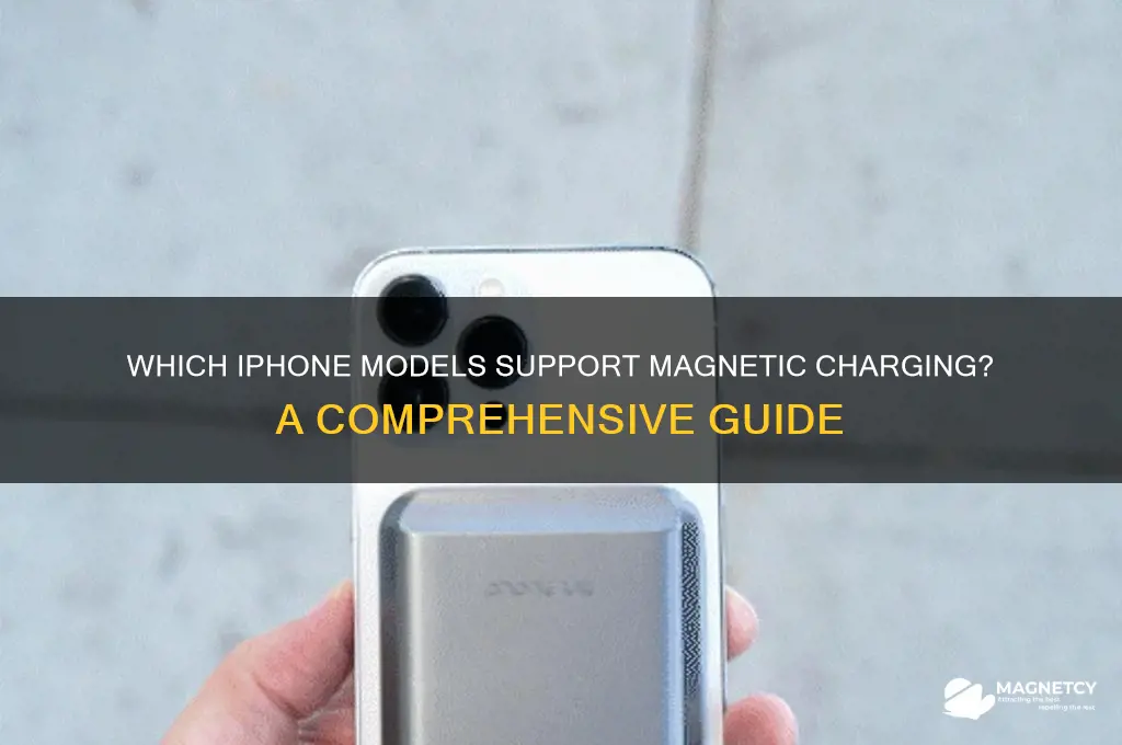 what iphone can use magnetic charger