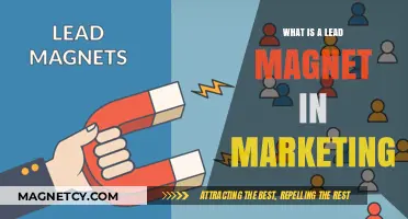 Unlocking Customer Engagement: The Power of Lead Magnets in Marketing