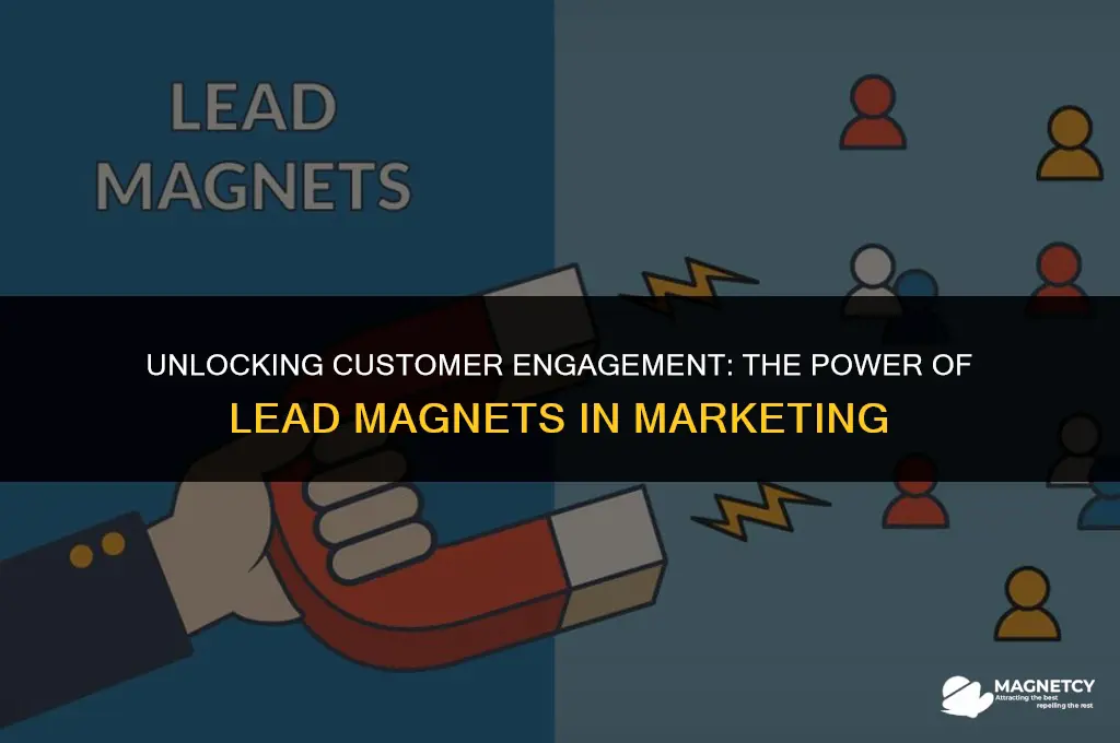 what is a lead magnet in marketing