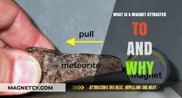 Magnetic Attraction: Exploring What Magnets Stick To and Why