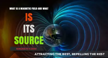 Exploring Magnetic Fields: Sources and Fundamentals