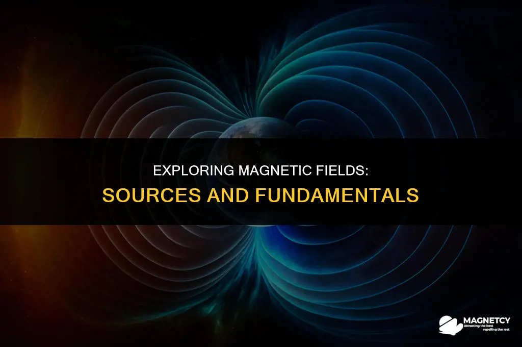 what is a magnetic field and what is its source